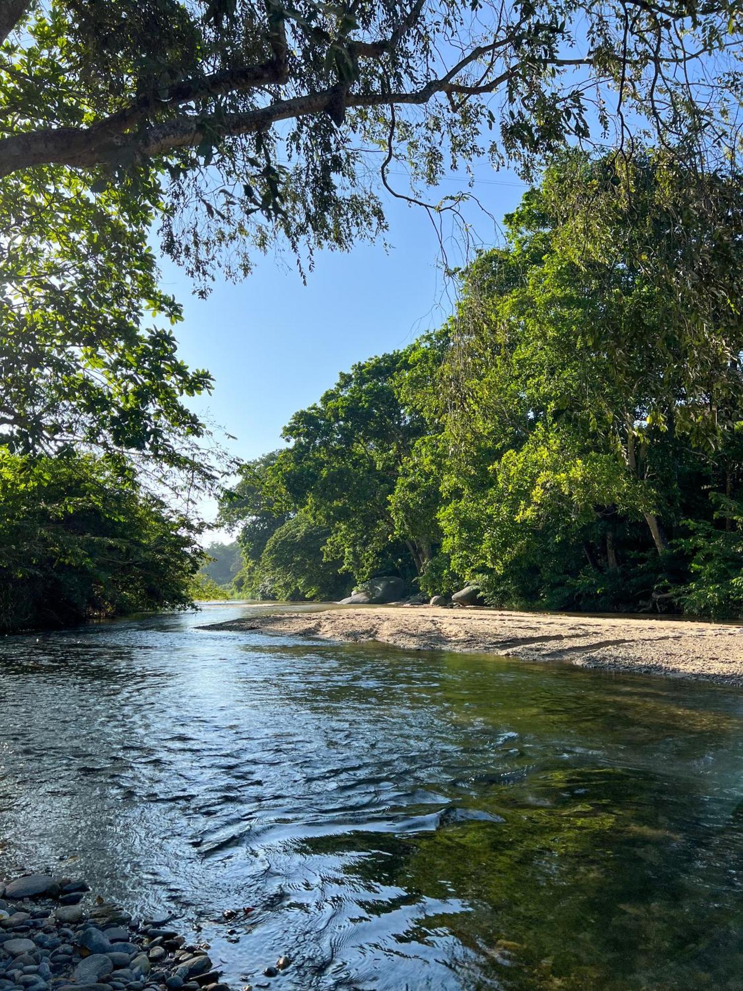 Tayrona Cachaco River Ecohostal Zaino Exterior foto
