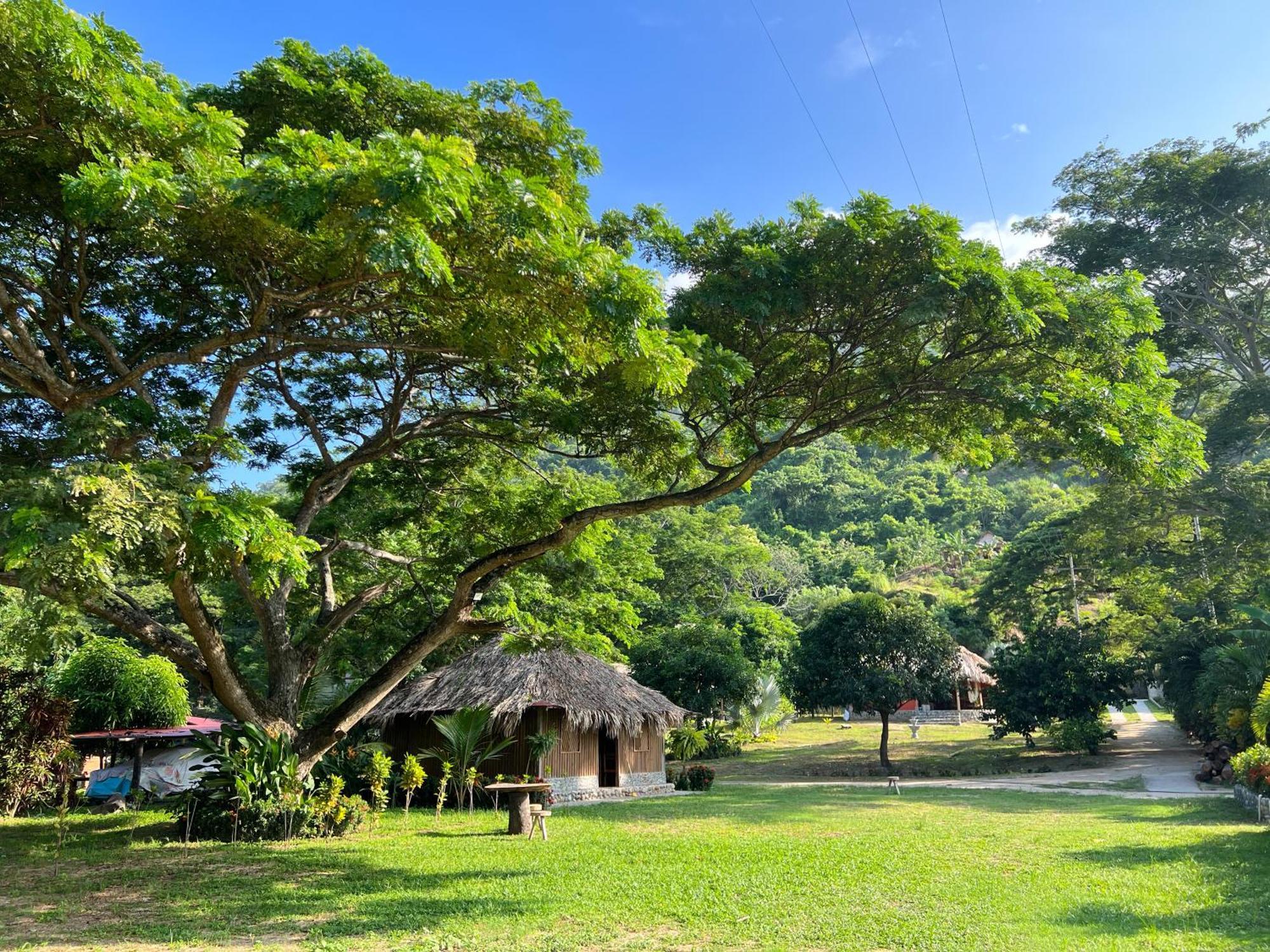 Tayrona Cachaco River Ecohostal Zaino Exterior foto