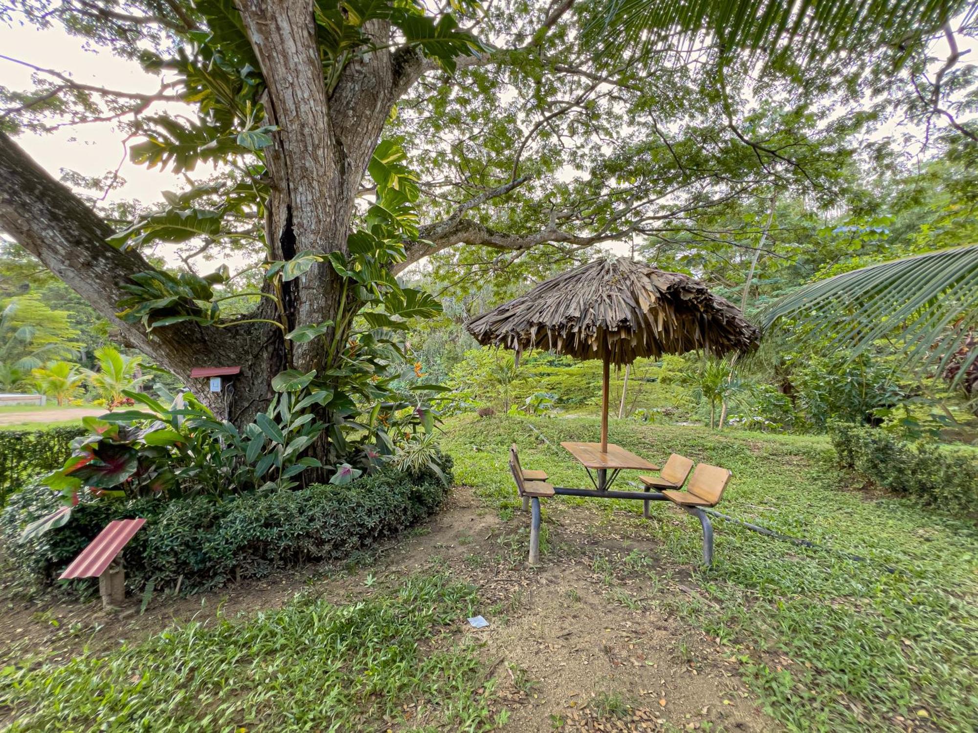 Tayrona Cachaco River Ecohostal Zaino Exterior foto